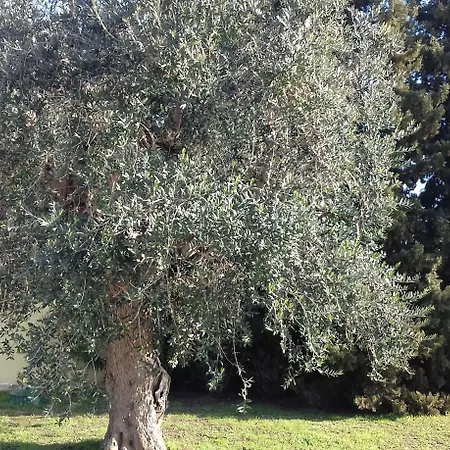 Lu Casale 3*
