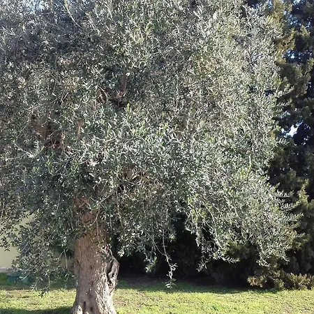 Bed & Breakfast Lu Casale
