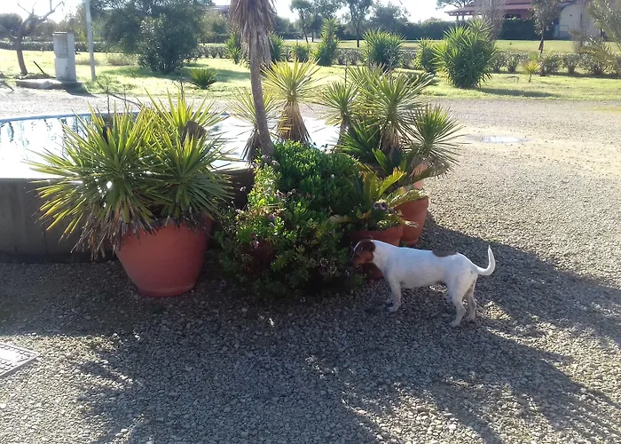 Bed & Breakfast Lu Casale